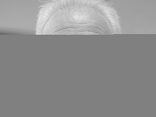 Portrait von François Le Roux
